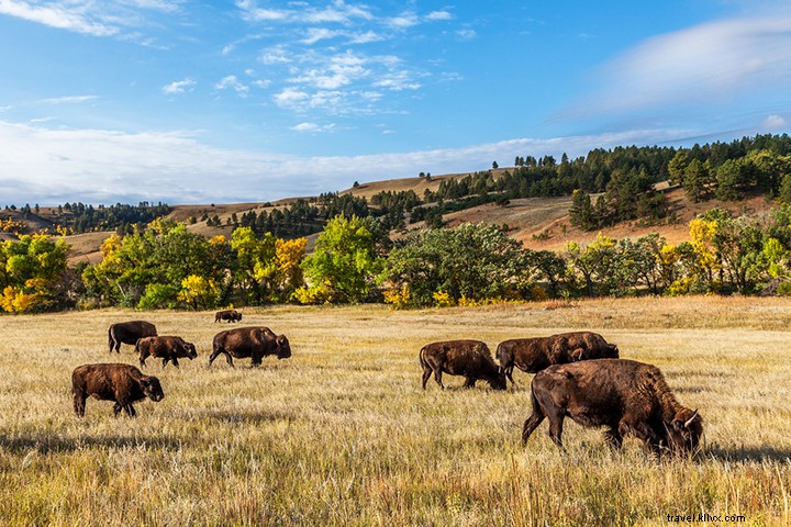 11 Iconic Attractions That Make South Dakota a Must-Visit Destination